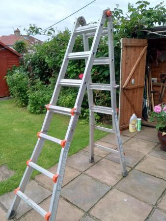 Image 3 of Little Giant Ladder Multi Function