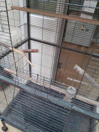 Image 3 of Very large bird cage for sale.REDUCED