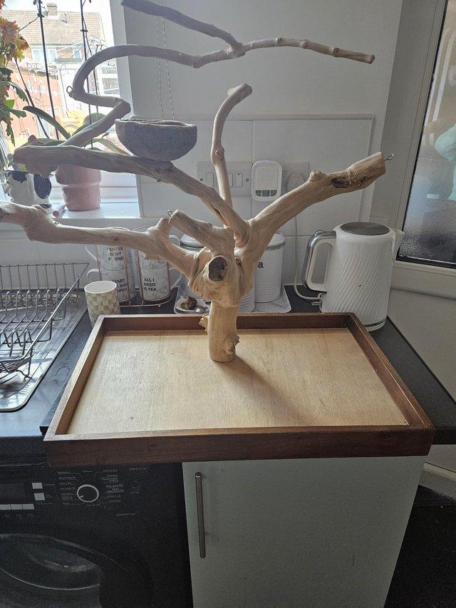 Preview of the first image of Wooden  Bird play station.
