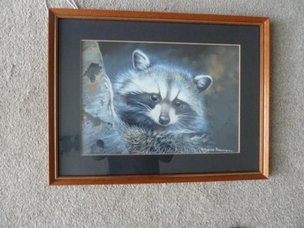 Image 1 of Polyanna Pickering print, framed (Raccoon)