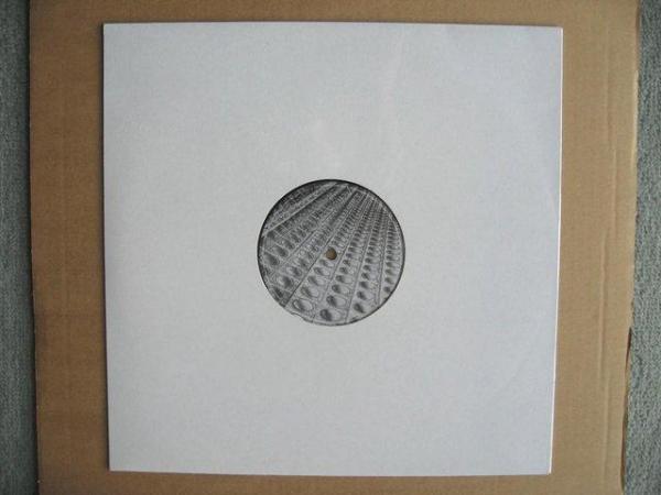 Image 2 of Audiovoid – Separate Spaces EP Vinyl Record – Robot – ROB