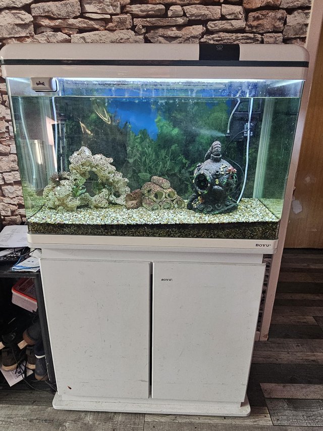 Preview of the first image of Fish tank and 2 fish ......