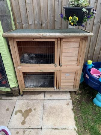 Image 1 of Guinea pig double hutch
