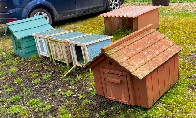 Image 9 of Boughton Chicken Ark & Various Duck Houses Price reduced
