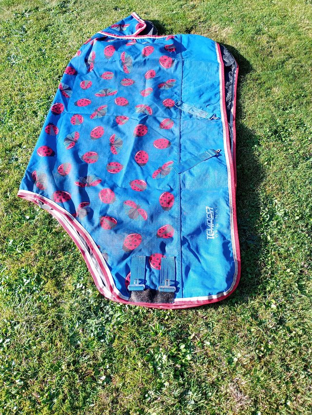 Preview of the first image of 5ft 6" tempest no fill turnout rug.