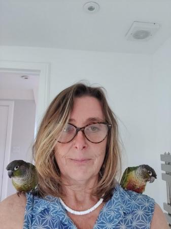 Image 2 of Green Cheek Conures Max & Rosie