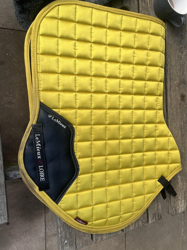 Preview of the first image of LeMieux saddle pad for sale.