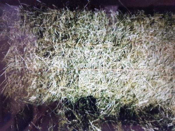 Image 2 of Hay For Sale Surplus To RequirementsLast Year June2021