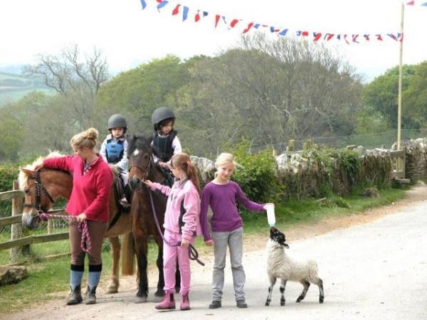 Image 1 of Sensible 13.2- .14h pony wanted - v experienced forever home