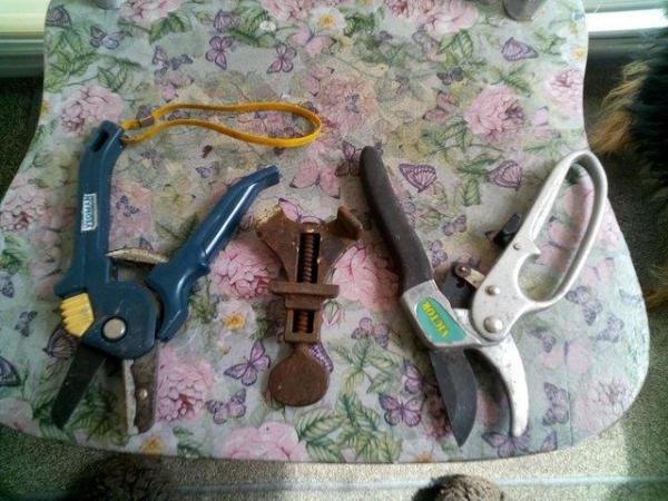 Image 1 of CUTTERS SMALL VICE TYPESACERTURS £8 OR OFFERS