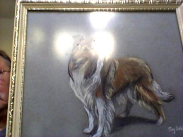 Image 1 of original pastel of lassie type collie dog by joy doble