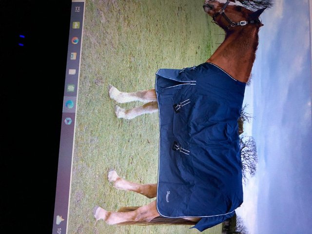 Preview of the first image of NEW CAPRI TURNOUT RUG 150 FILL SIZES 4/6 TO 7/0 FOR £33..