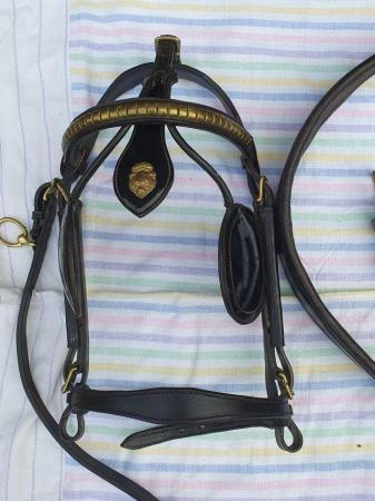 Image 3 of English leather black patent harness