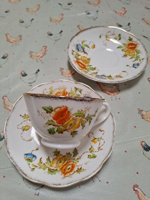 Preview of the first image of Royal Albert Crown China "Wild Rose".