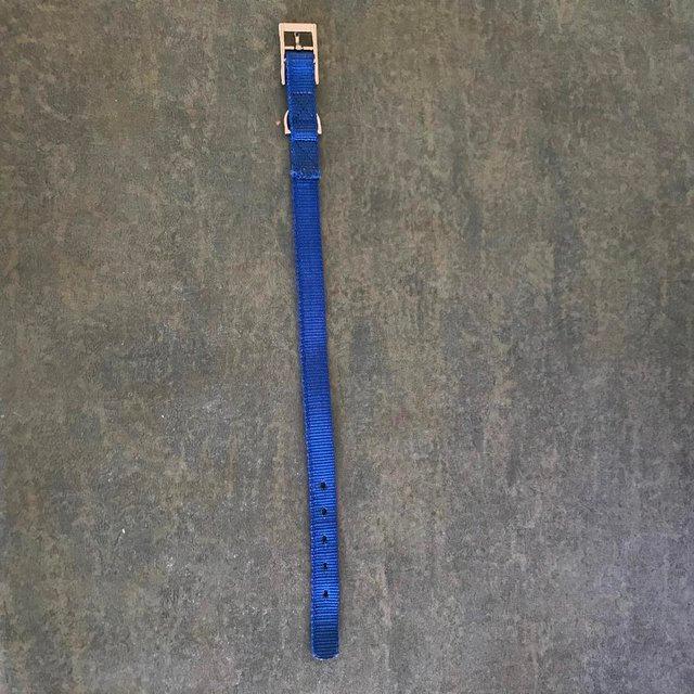 Preview of the first image of Canac Dog Collar, Blue Nylon, Size 30 – 35 cm. Can post..