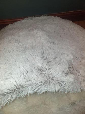 Image 3 of Dog/cat bed ,igloo soft and cosy bed