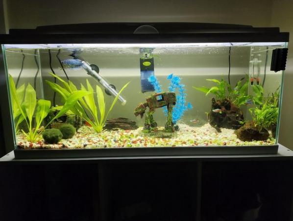 Image 1 of Fish Tank and Assorted Fish
