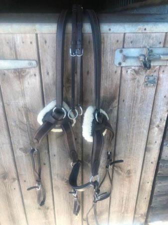 Image 1 of Breastplate/Running Martingale