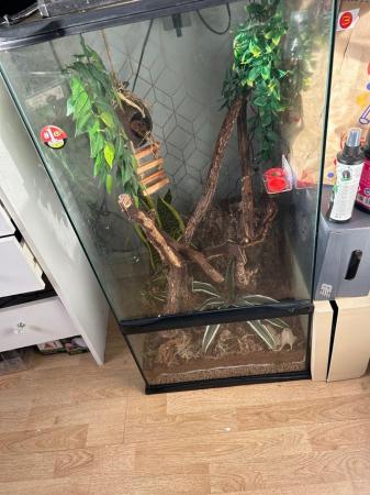 Image 1 of Crested gecko tank and accessories