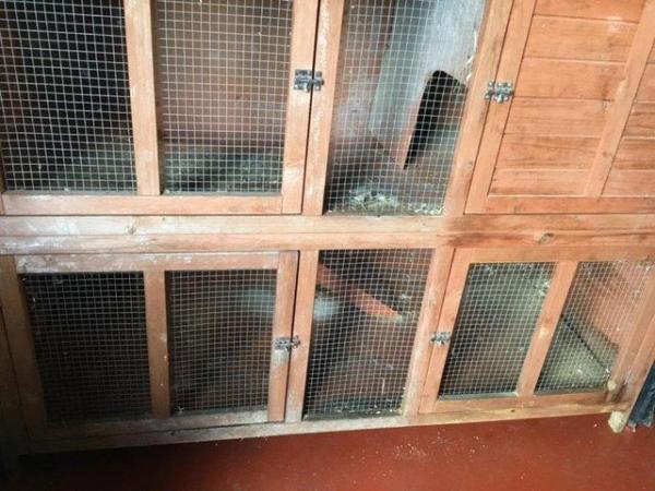 Image 4 of Guinea pig cage or Rabbit Two storey mansion