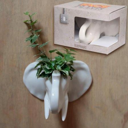 Image 3 of Decorative Ceramic Indoor Wall Planter - Elephant.Free post