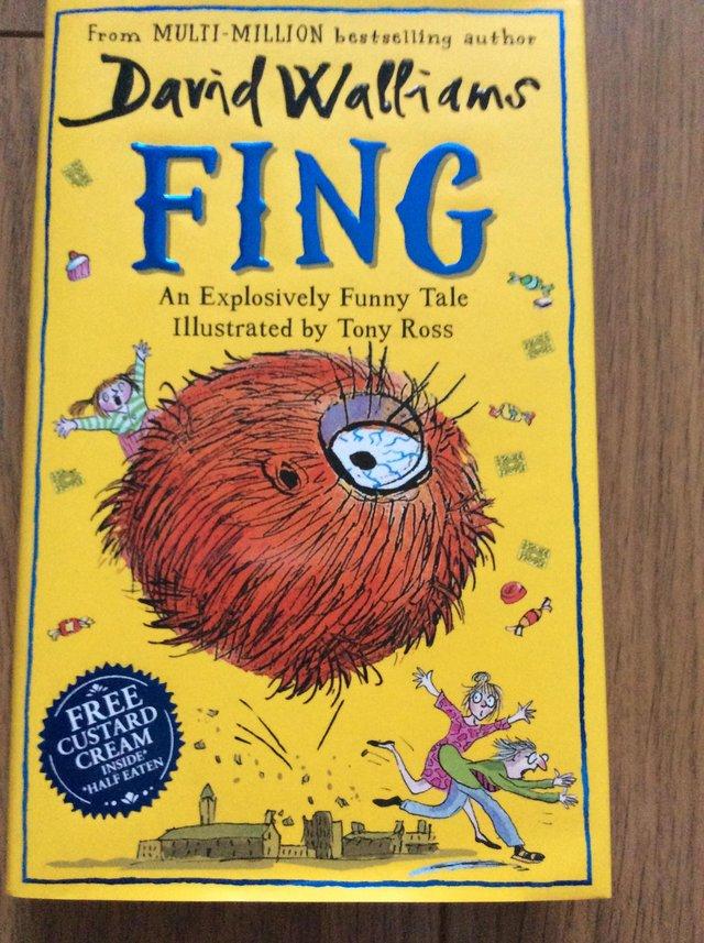 Preview of the first image of David Walliams - Fing (hardback) reduced.
