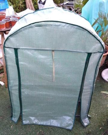 Image 7 of Mini Greenhouse for Plants & Seedlings