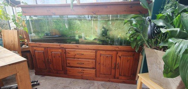Image 5 of Large fish tank with all accessories