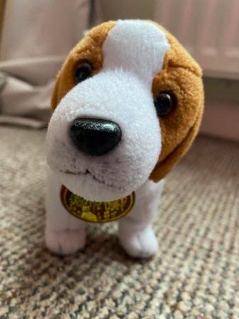 Image 2 of Jester the Beagle Cuddly Toy, ideal Christmas Present