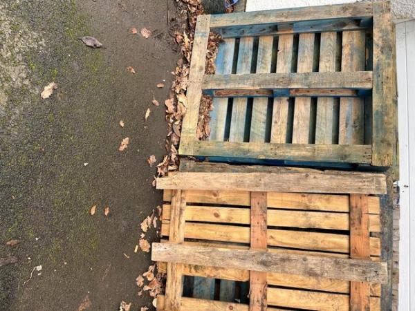 Image 1 of free to a good home 5 pallets