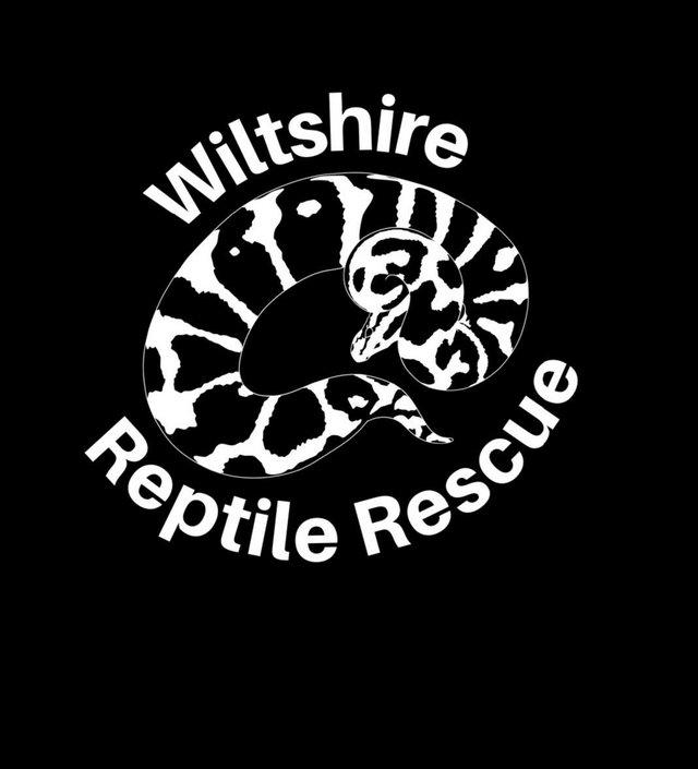 Preview of the first image of Wiltshire reptile rescue. 17 years experience.