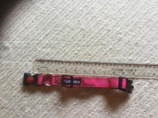 Image 5 of Pink Collar for Small/Medium Sized Dog