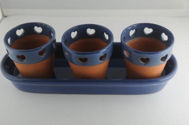 Image 3 of Trio Of Indoor Planters With Heart Cut Outs On Tray
