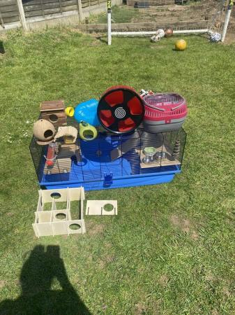 Image 5 of Hamster/gerbil cage and accessories