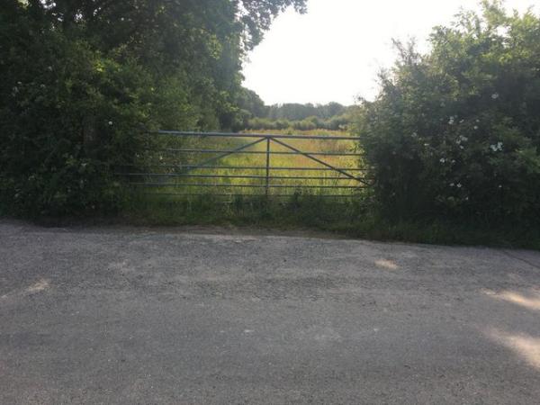 Image 9 of 8 Acres Land Hatherleigh Devon UK Smallholding / Paddock etc