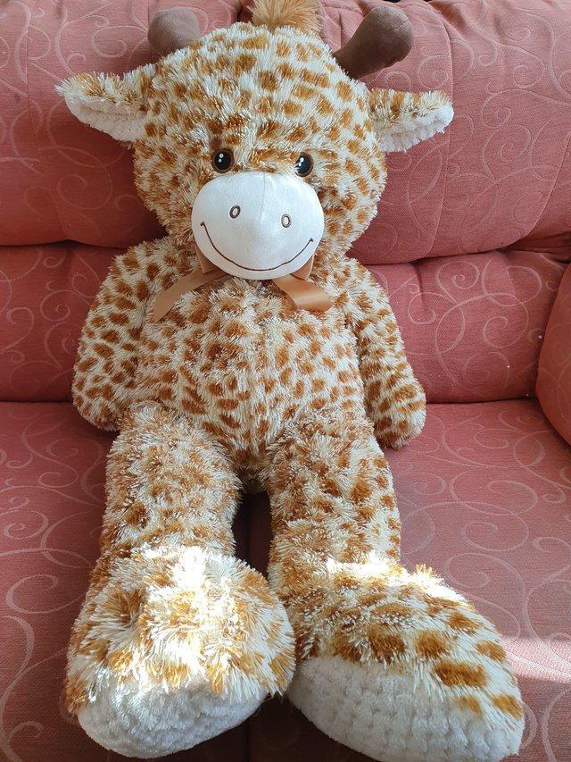 Preview of the first image of Large Soft cuddly Giraffe approx. 100cm height..