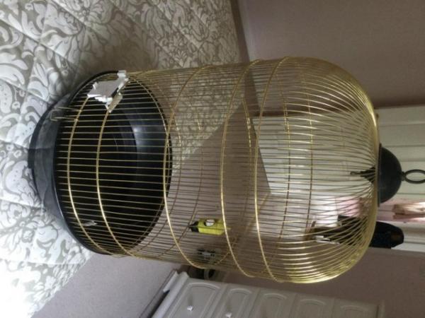 Image 4 of Bird cages…………………………..….