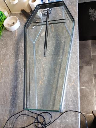 Image 3 of Glass coffin terrarium for sale