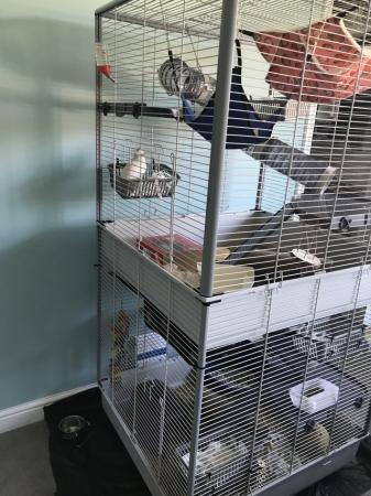 Image 1 of Massive rat/ferret cage really good quality