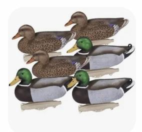 Image 3 of Flambeau Duck Decoys with strings & weights