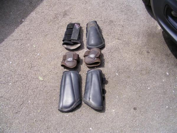 Image 1 of Set of full size horse boots in very good condition.