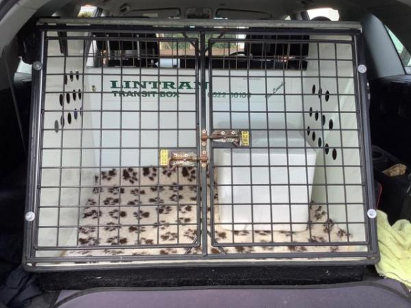 Image 3 of LINTRAN DOG CAGE FOR CAR