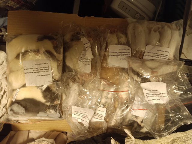 Reptile frozen food rats mice multi chicks cheap