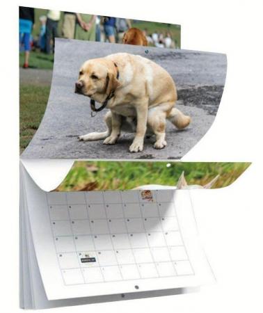 Image 2 of 2024 Calendar Funny Dogs Pooping in Beautiful Places