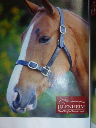 Image 1 of New Shires Blenheim Black Leather  Headcollar  Extra Full