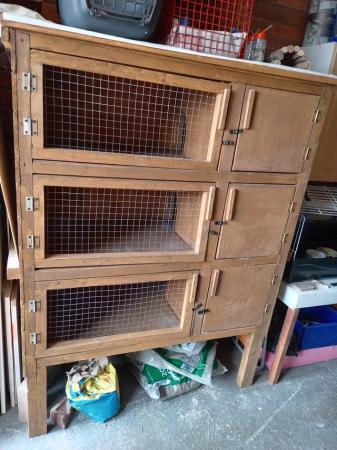 Image 1 of 3 tier Guinea pig hutch ONO, SOLD
