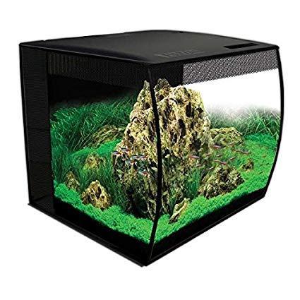 Image 7 of Fish Tanks Available At The Marp Centre