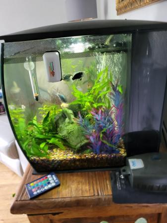 Image 2 of Fluval 57lt fish tank with heater,pump,fish and accessories.
