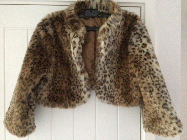 Preview of the first image of Faux fur animal print bolero jacket.
