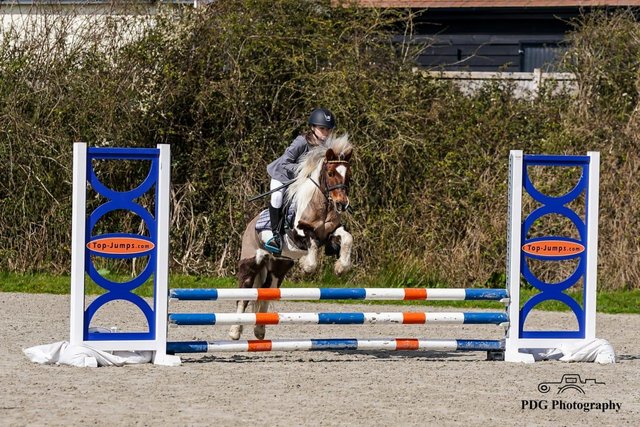 Image 1 of 11'2 fun little dartmoor pony for part loan